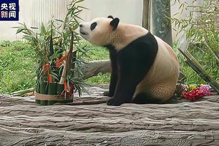 读秒绝平救主！贝林厄姆赛后熊猫滚躺在地上？！